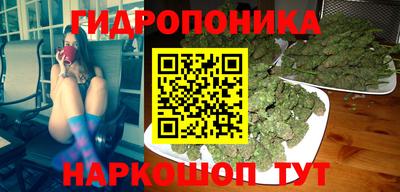 ешки Гатчина