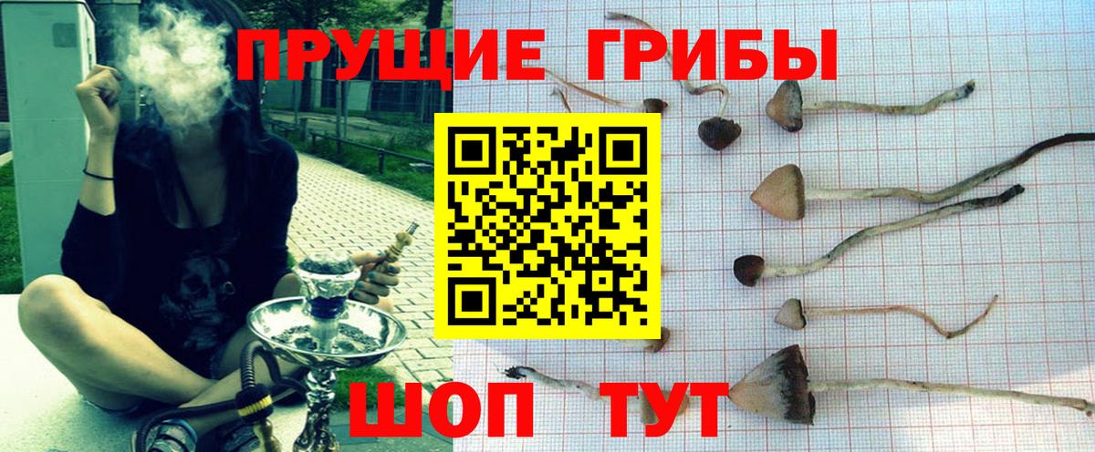 Галлюциногенные грибы GOLDEN TEACHER Нефтекумск