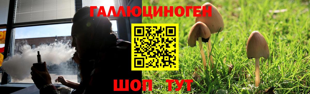 Псилоцибиновые грибы GOLDEN TEACHER  Вход с VPN  Нефтекумск  Псилоцибиновые грибы мицелий 